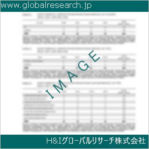 グローバルリサーチ調査資料のイメージ